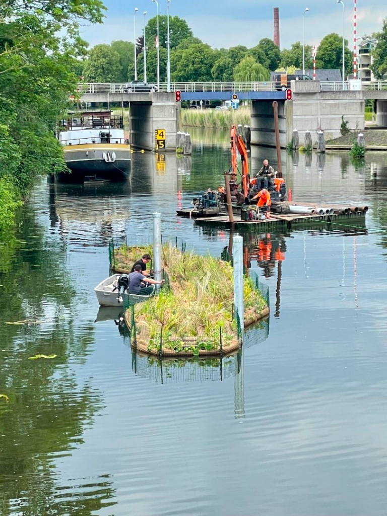 Drijvend groen in doetinchem